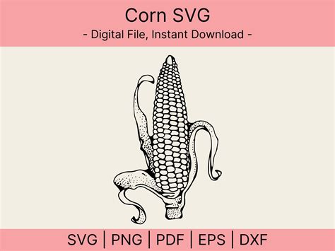 Corn SVG, Vintage Corn SVG File, Corn Design for Crafting, Vector Cut ...