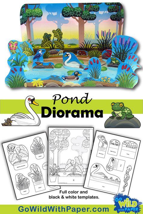 20 Best Animal Habitat Dioramas images | Animal habitats, Diorama kids ...