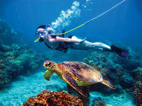 Cairns Reef Tours | Green Island Snorkel Tours | Save $48.50