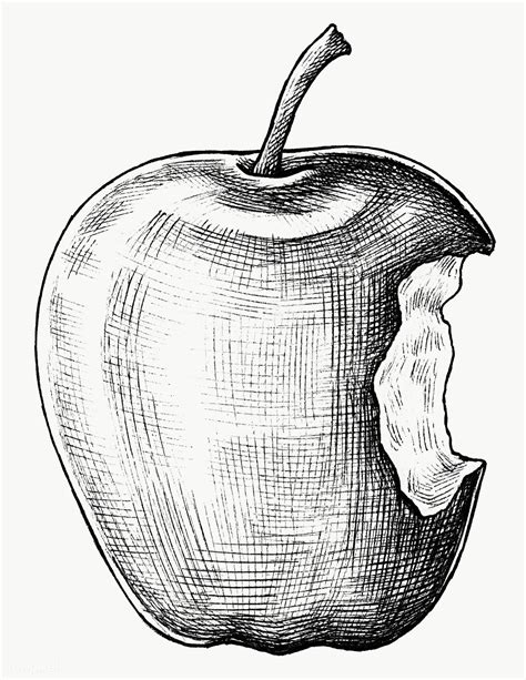 Apple Sketch, Fruit Sketch, Drawing Apple, Ink Drawing, Cool Art ...