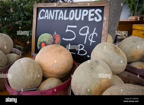 Melons for sale at an outdoor market Stock Photo - Alamy