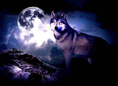 Wallpaper Wolf Moon | Mega Wallpapers