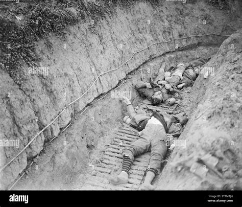 The Battle of Cambrai, November-december 1917 Stock Photo - Alamy