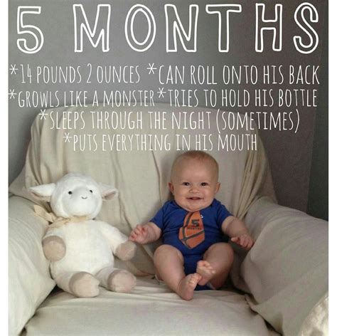 Baby monthly picture | 5 months old | 5 month old baby, Baby milestones ...