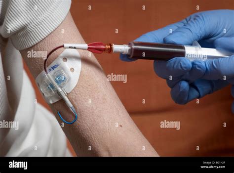 Drawing blood from a picc line with surgical gloves (peripherally inserted central catheter ...