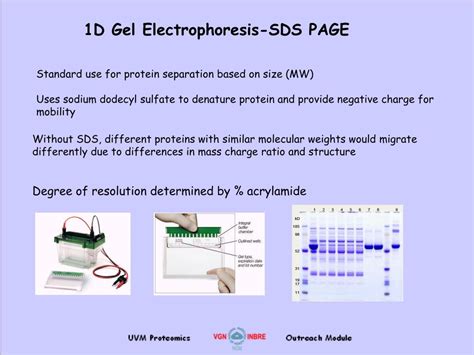 PPT - Electrophoresis and 2D Gel Analysis PowerPoint Presentation, free ...