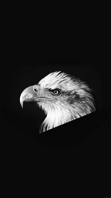 Dark Eagle Wallpapers - Top Free Dark Eagle Backgrounds - WallpaperAccess