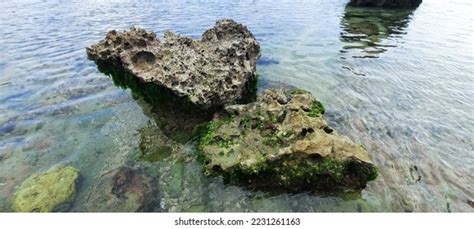 Heart Shaped Rocks On Beach Photos and Images | Shutterstock