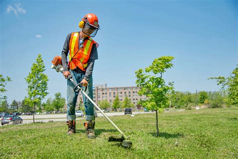 Landscape Horticulture Techniques Program | Niagara College