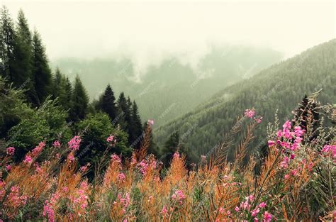 Premium Photo | First spring flowers on alps mountains