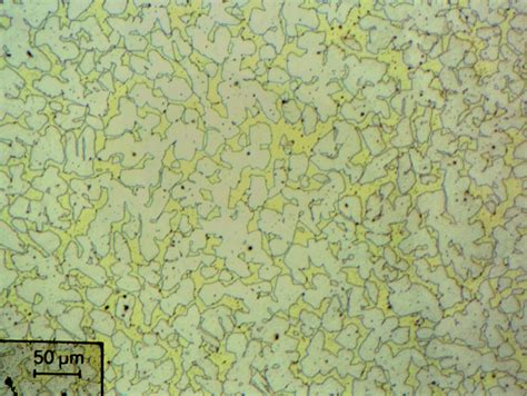 Metallography of copper and copper alloys insight | Struers.com