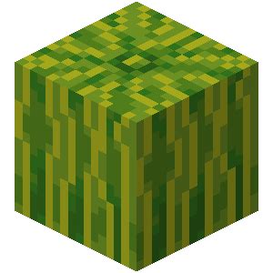 Melon – Official Minecraft Wiki