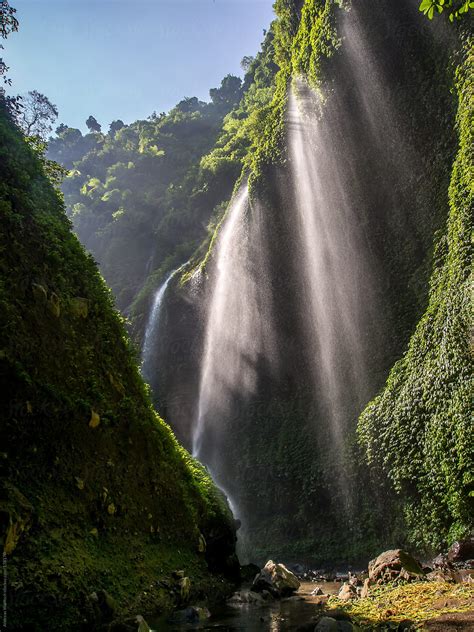 "Madakaripura Waterfall" by Stocksy Contributor "Andreas Wonisch" - Stocksy