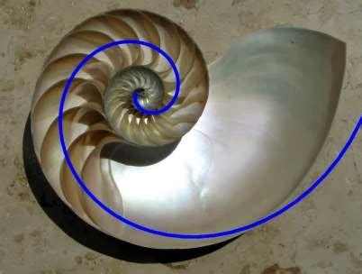 Leonardo Fibonacci | Facts About All