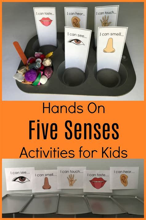 Five Senses Activities