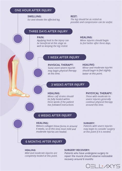 Calf Strain Recovery Time - Cellaxys