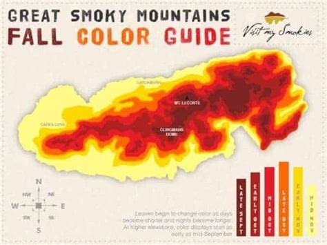 Your Ultimate Guide to the Smoky Mountains Fall Colors