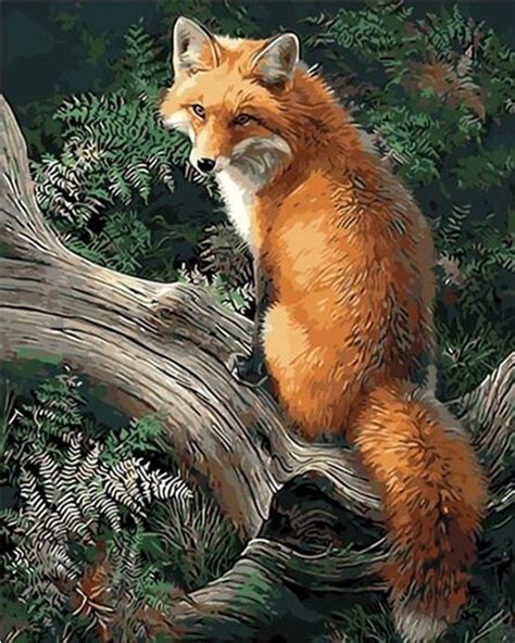 Fox - Animals Paint By Numbers – Numeral Paint