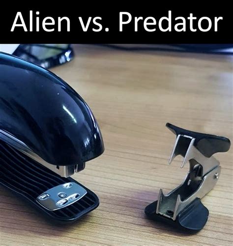 The best Predator memes :) Memedroid