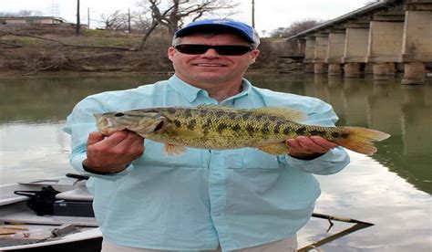 Colorado River Guadalupe Bass Is Potential State, World Record | OutdoorHub