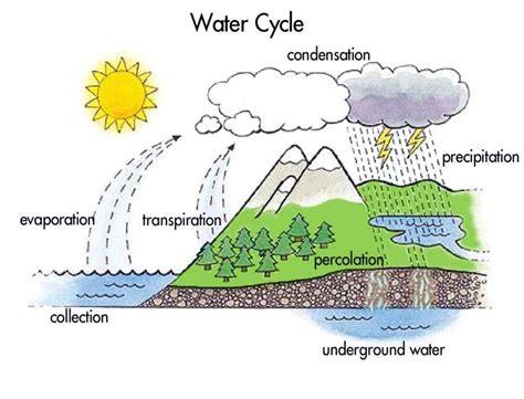 Water Cycle Drawing at GetDrawings | Free download