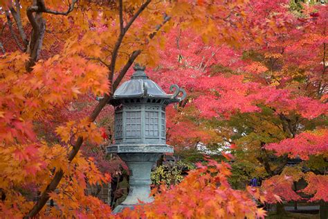 Kyoto Autumn Leaves - When to Go and Best Places to Visit ...