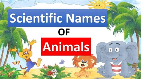 Scientific Names of Most Common Animals - YouTube