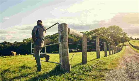 Why You Should Consider Installing Farm Fencing?