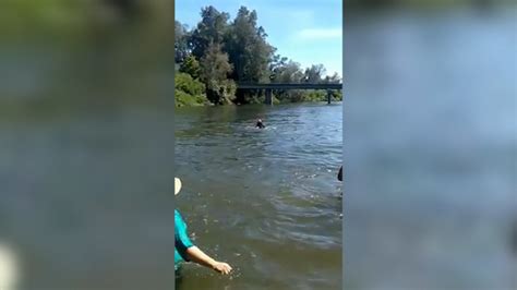 Bystander rescues man, child at Reedley Beach a day after five children ...