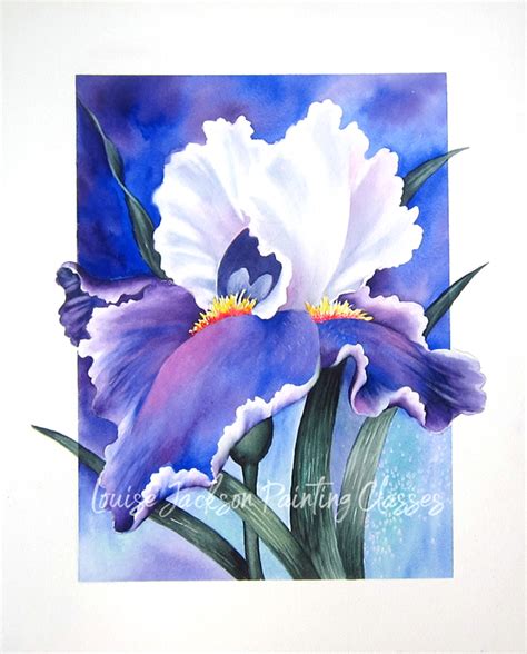 Purple Iris - Louise Jackson Painting Classes