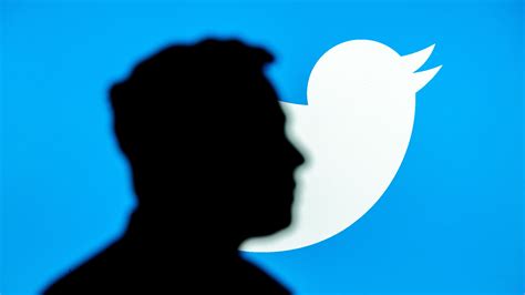 Twitter's seneste tests handler om online status og svar-tråde | TechRadar