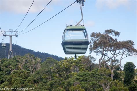 A Journey Above The Trees With Kuranda Skyrail Rainforest Cableway ...