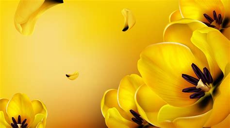 Vector background with realistic yellow tulips 15485538 Vector Art at ...