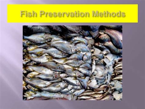 Fish preservation methods