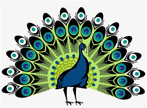 Peacocks - Simple Colorful Peacock Drawing Transparent PNG - 3000x2063 ...