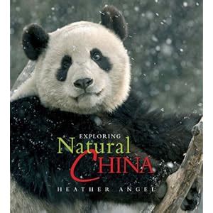 Wildlife of China – Wild world - Nature, conservation and wildlife holidays