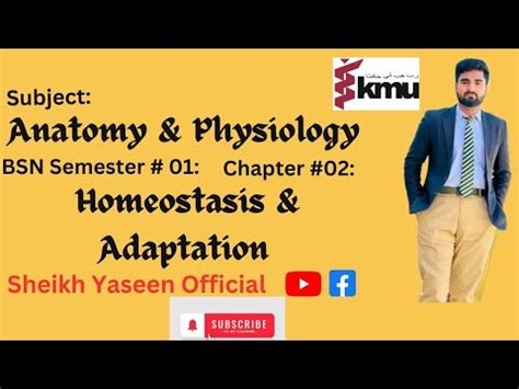 BS Nursing Anatomy and physiology Chapter # 02 Homeostasis and Adaptation - YouTube