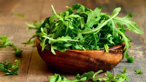 Arugula: Everything You Need to Know About this Versatile Plant | Blog