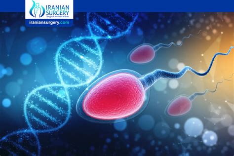 What Is Sperm DNA Fragmentation? | Iranian Surgery