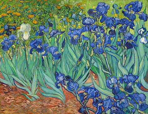 Irises | Vincent van Gogh | Painting Reproduction 1102 | TOPofART