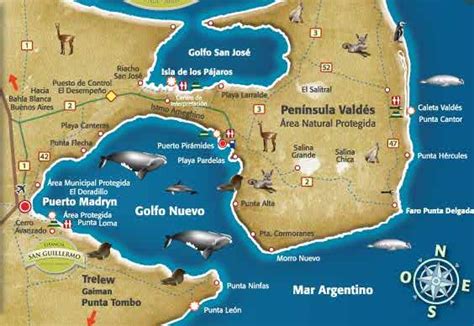 1000+ images about Puerto Madryn on Pinterest | Poster and Google search