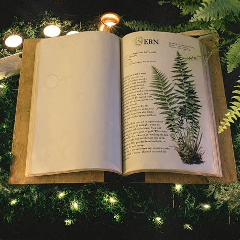 Herbology Large Wooden Herbal Book of Shadow Magical | Etsy