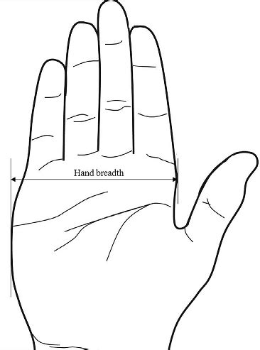 Anthropometric dimension of hand width | Download Scientific Diagram