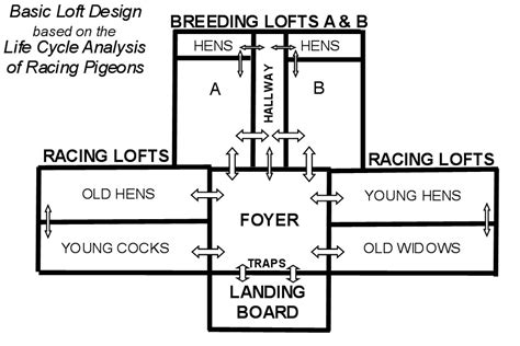 Loft Construction and Design - Winning Pigeon Racing and Racing Pigeons ...