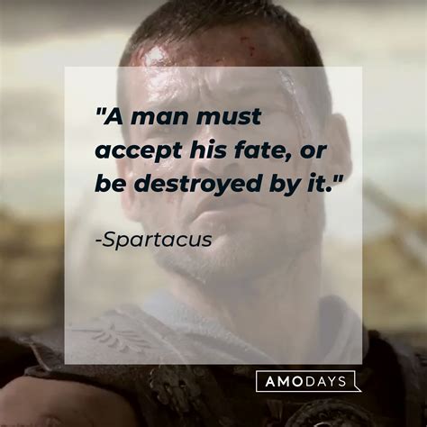 30 Spartacus Quotes: Revolutionize Your Mind with This Gladiator's Words