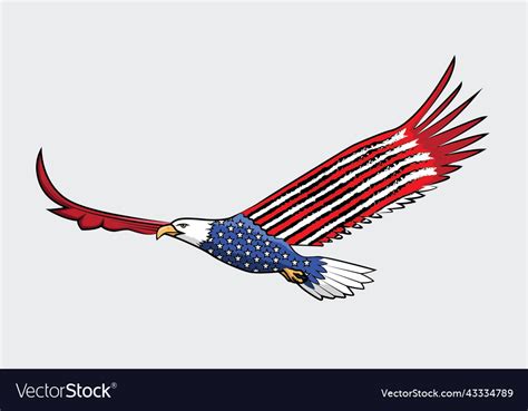 American flag bald eagle Royalty Free Vector Image