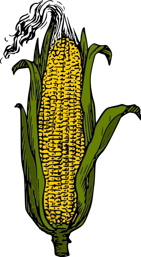 Ffa Ear Of Corn Symbol Clipart - Full Size Clipart (#5216726) - PinClipart