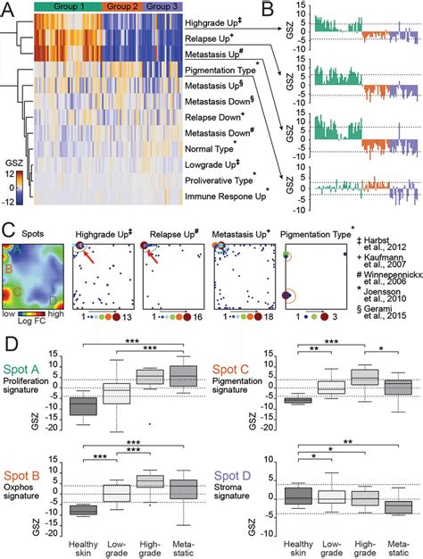 Patient-derived BRAF/NRAS wild type melanoma culture resembles... | Download Scientific Diagram