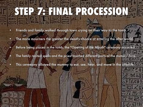 The 7 Steps of Mummification by Carson Krueger