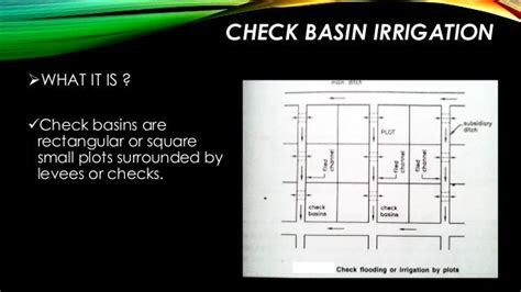 check basin , furrow and border strip method